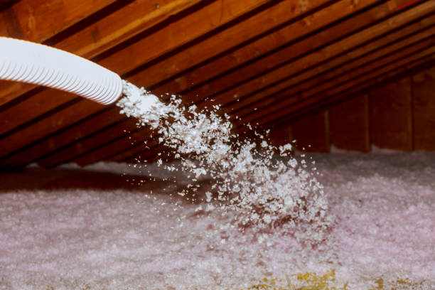 Best Insulation Maintenance and Repair in Plainview, NY